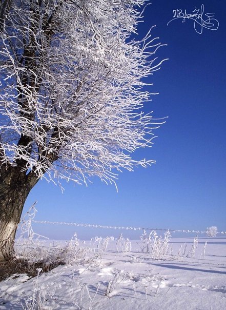 Фотовиставка Тетяни Должко
